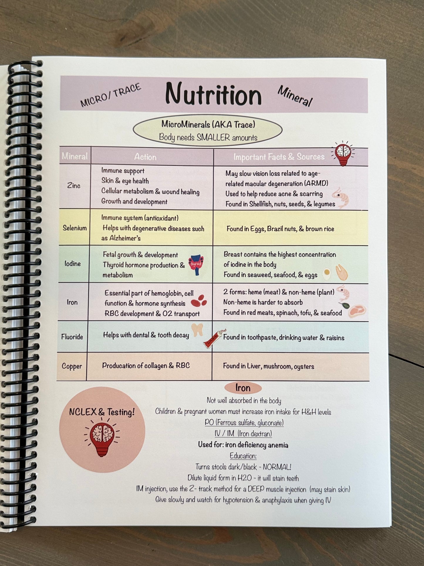 NEW Product: A Comprehensive Adult Health Pharmacology Study Guide