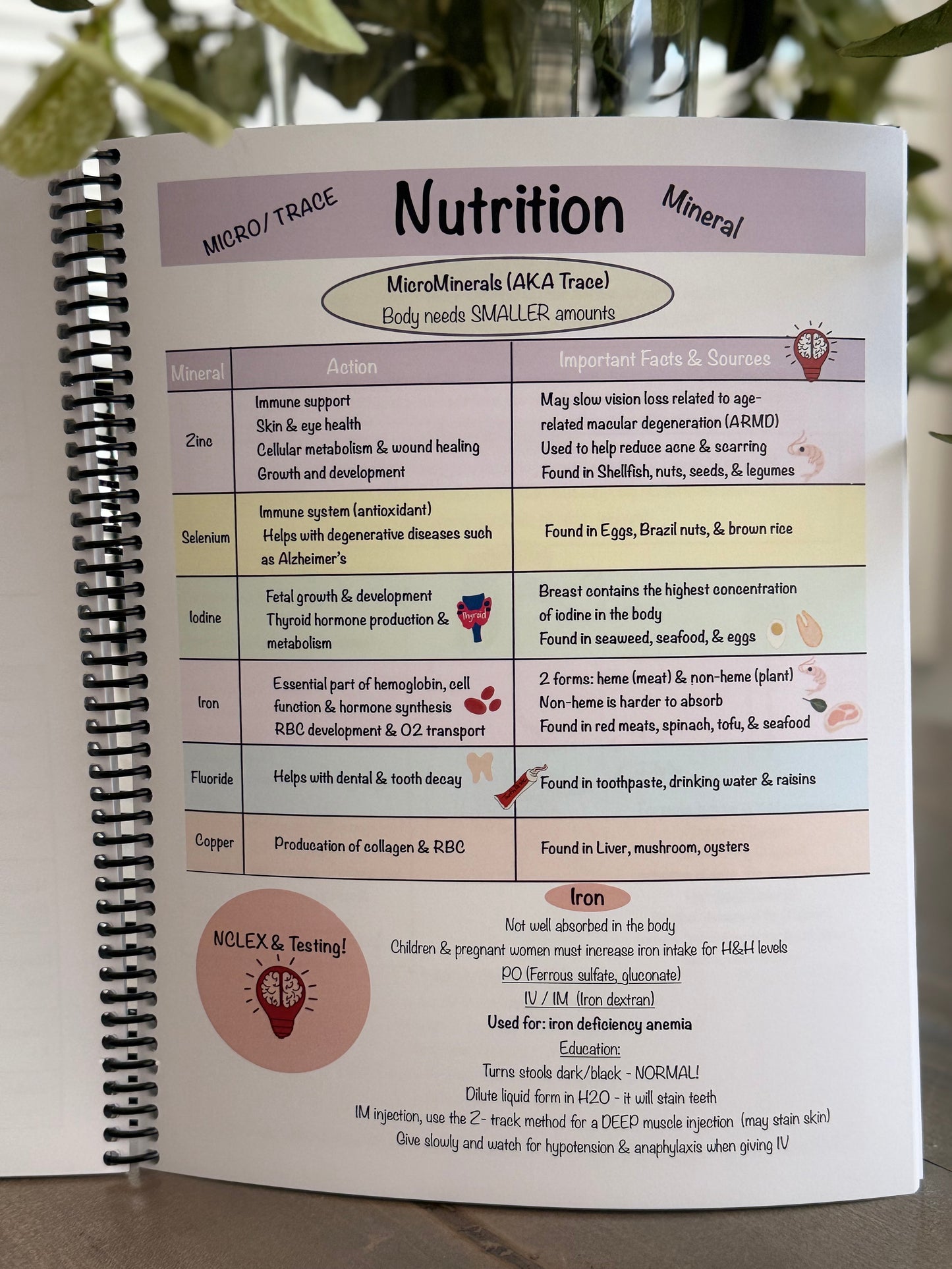NEW Product: A Comprehensive Adult Health Pharmacology Study Guide