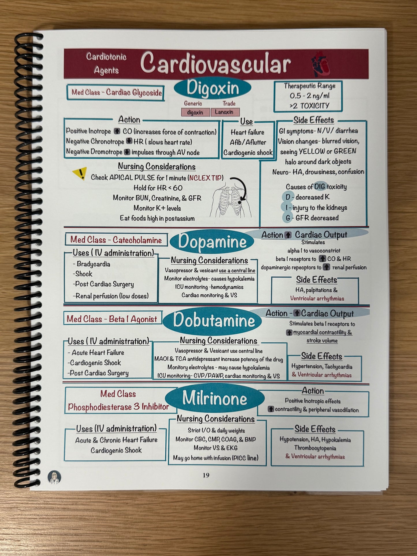 NEW Product: A Comprehensive Adult Health Pharmacology Study Guide