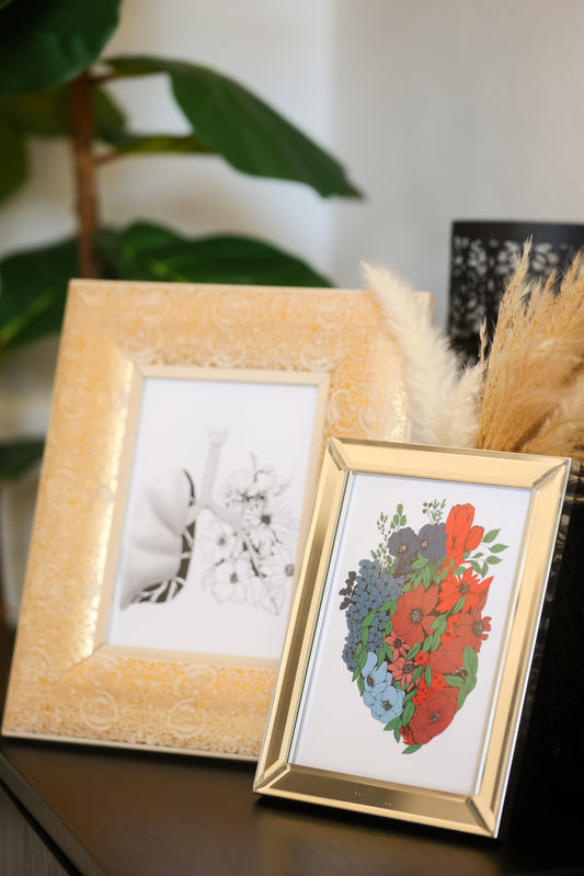 Anatomy Artwork Bundle - Printable & Digital Downloads