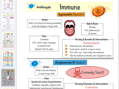Digital E-BOOK: A Comprehensive Adult Health Pharmacology Study Guide (PDF)