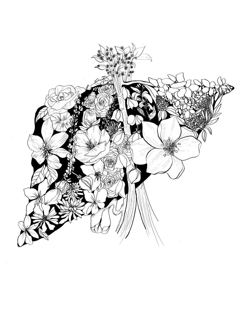 Anatomy Art Sticker Set