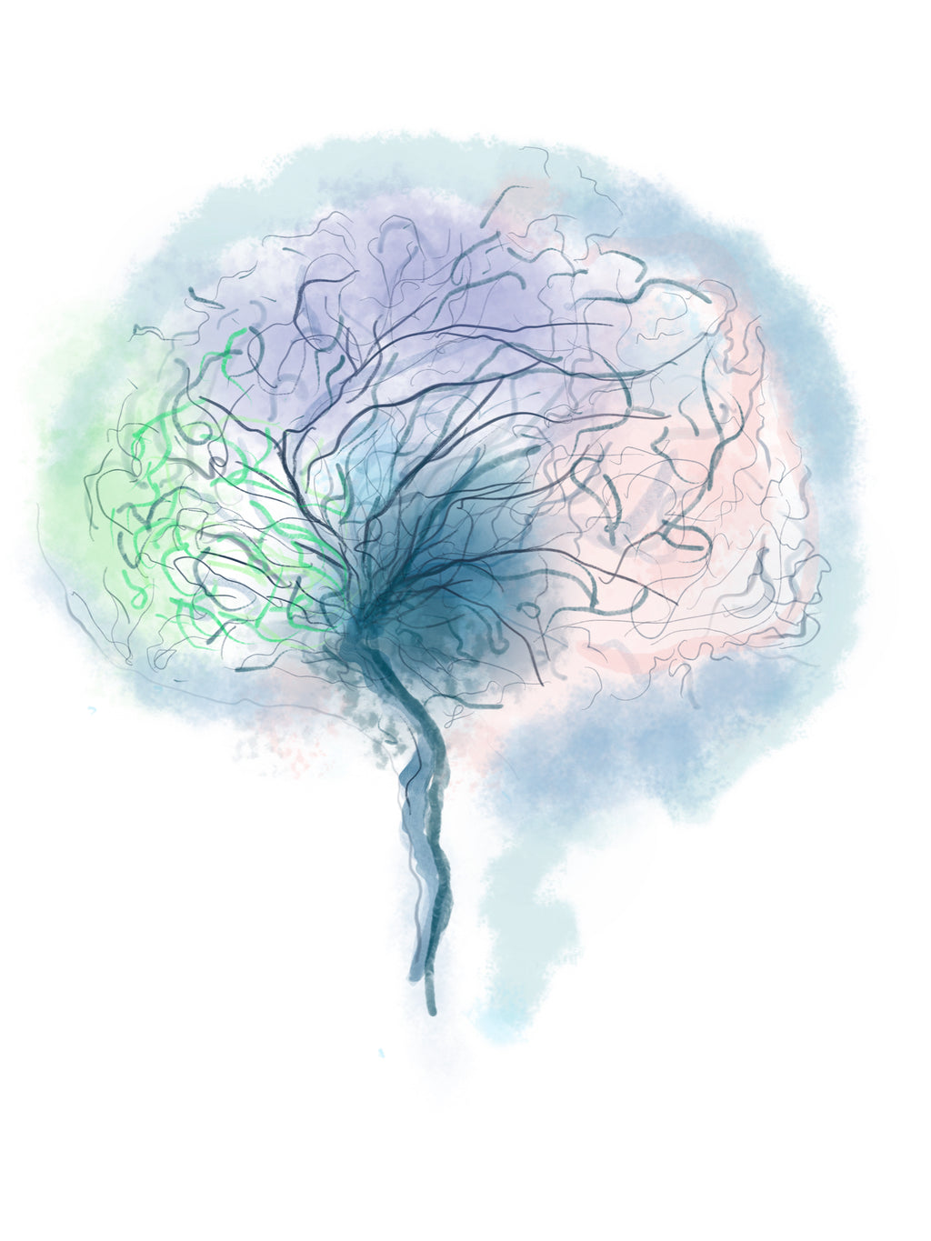 Anatomy Art Sticker Set