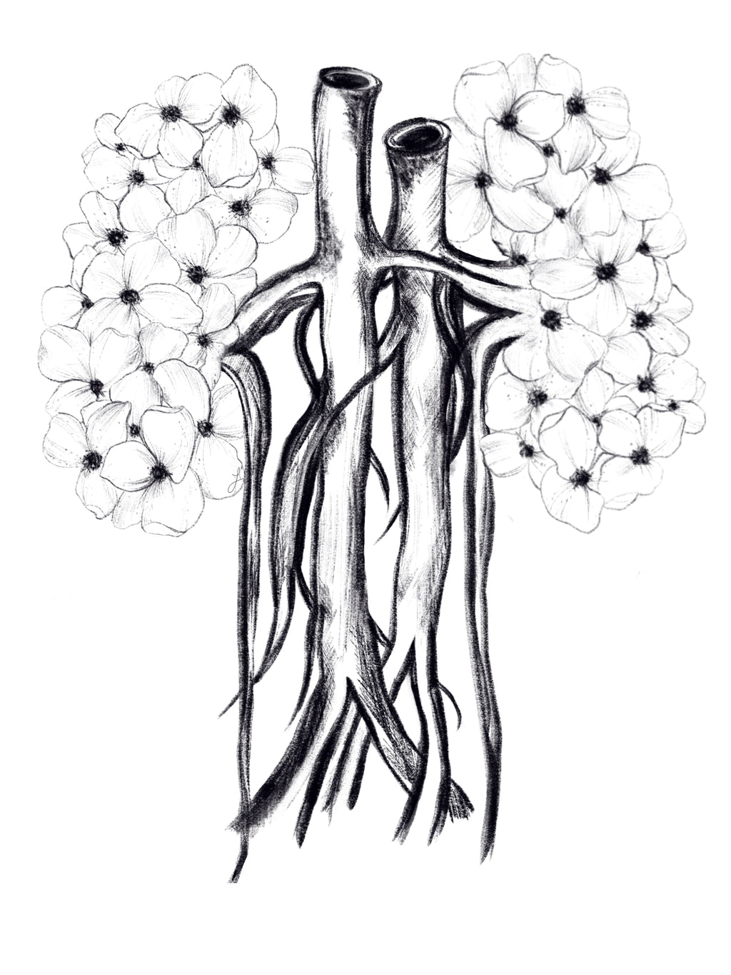 Anatomy Art Sticker Set