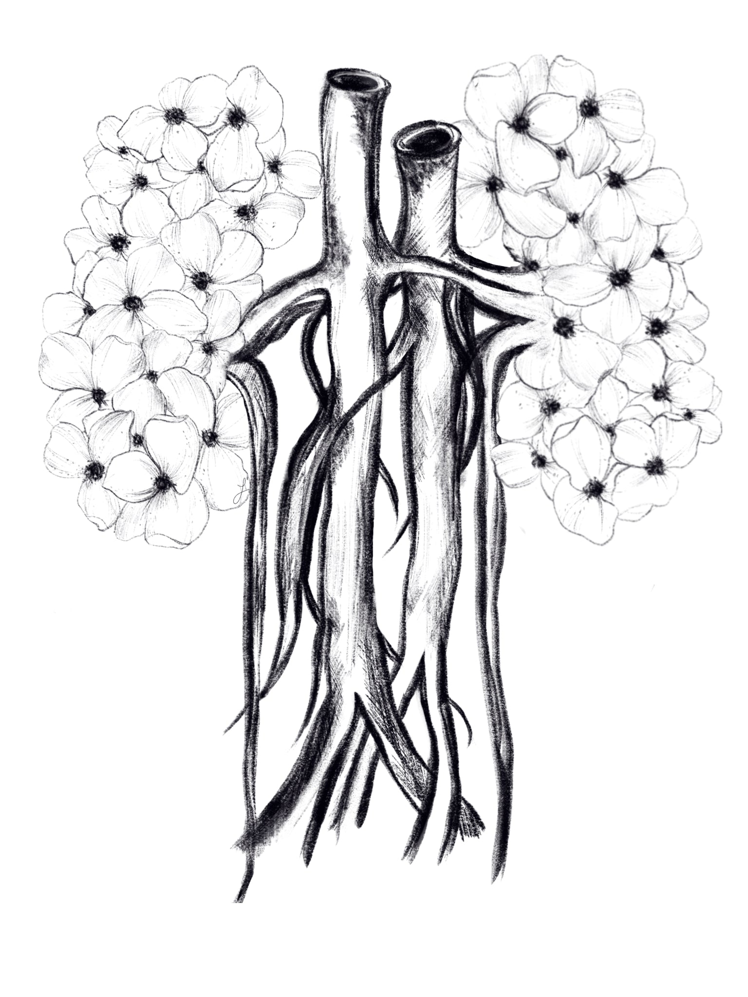 Anatomy Art Sticker Set