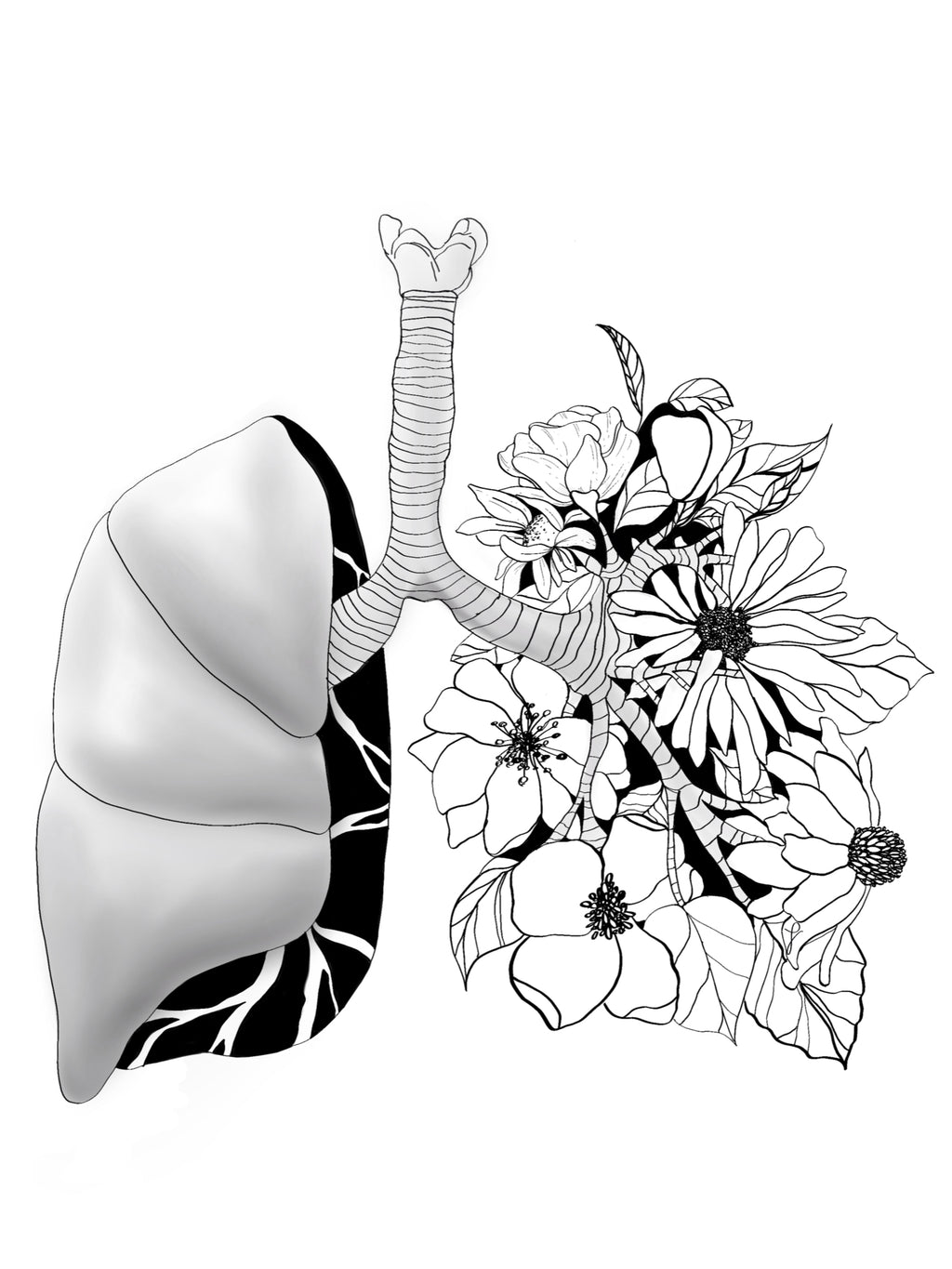 Anatomy Art Sticker Set