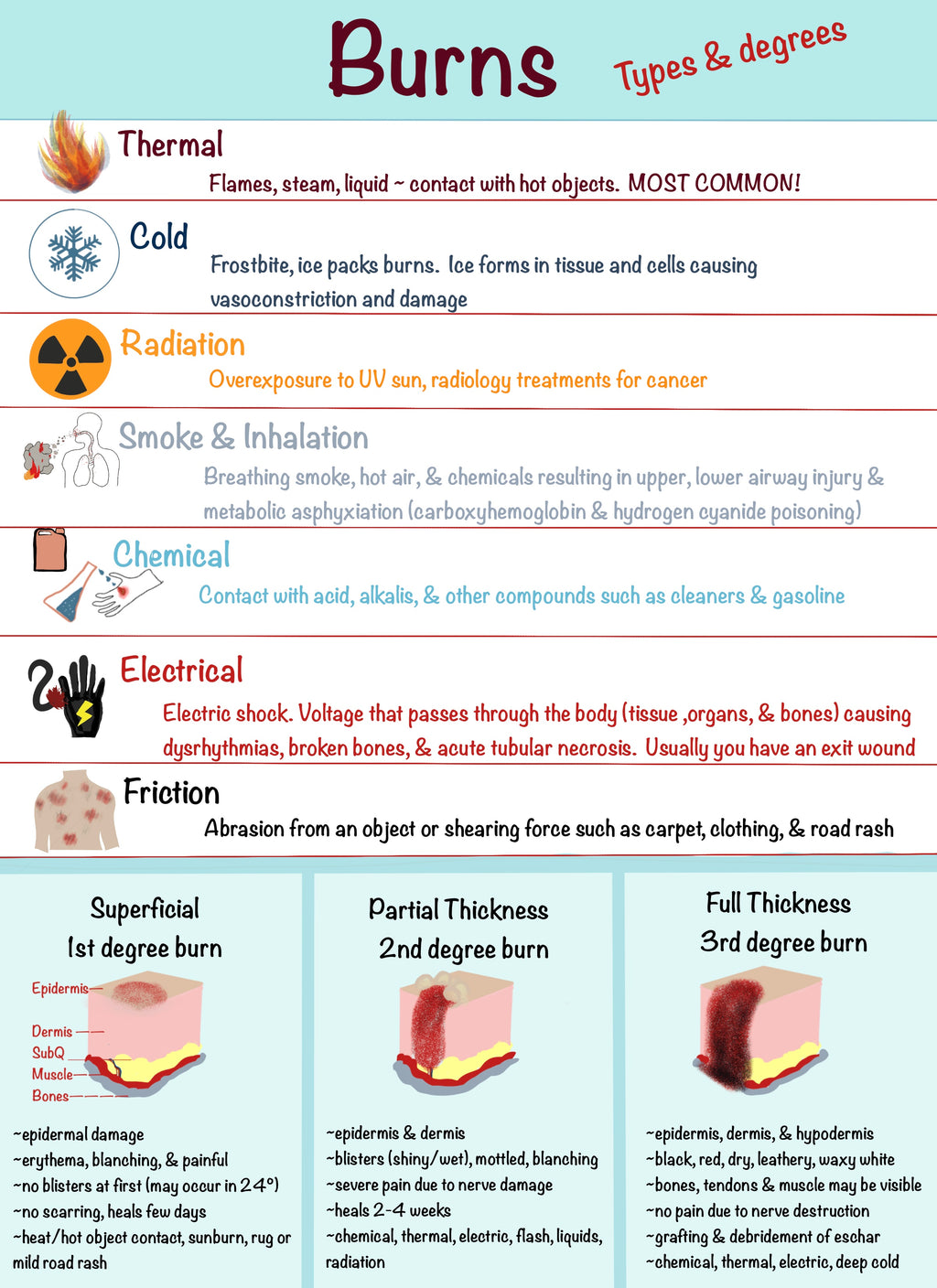 Nursing School Notebook (Spiral)