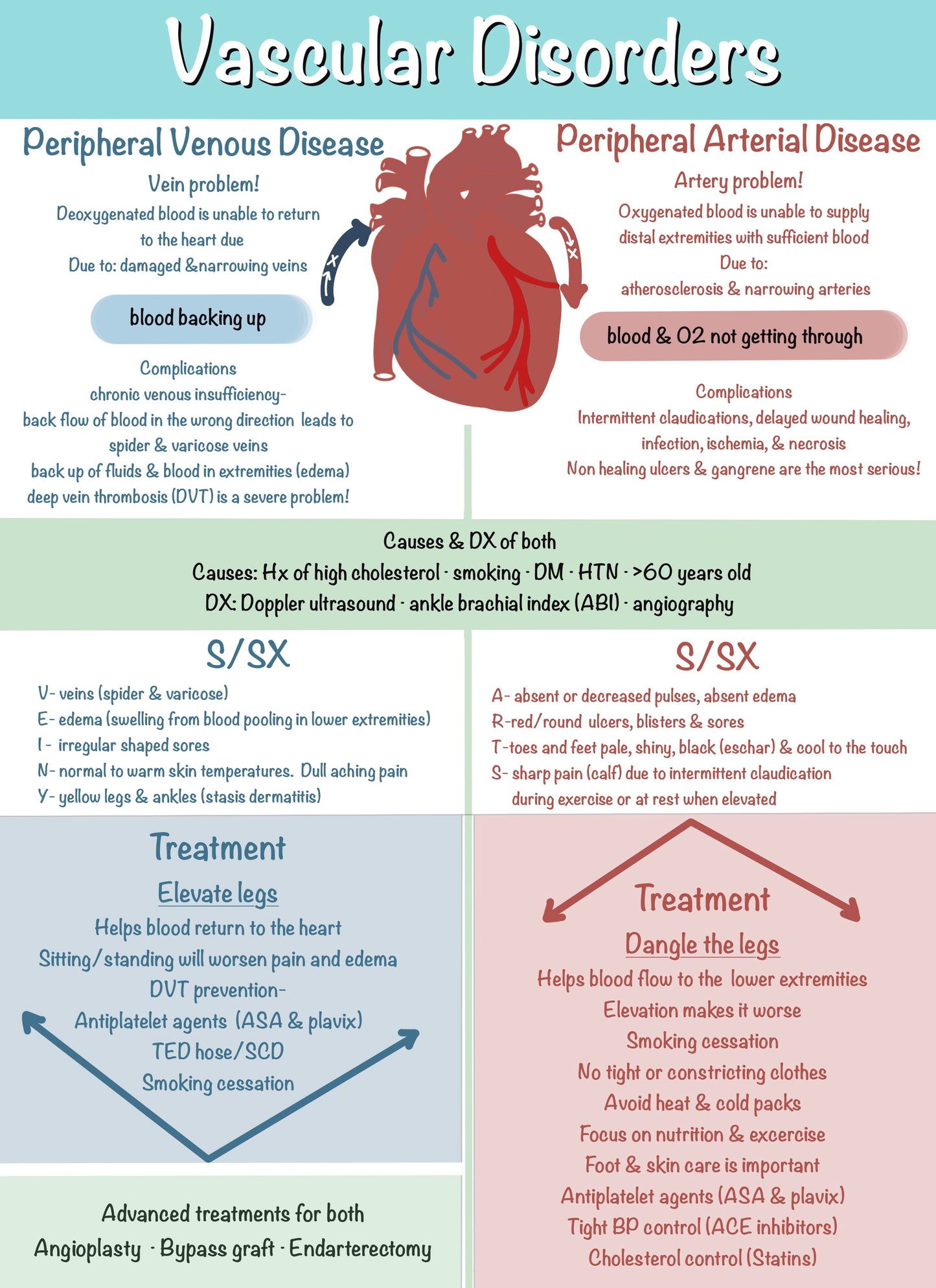 Nursing Notes Cardiovascular Bundle