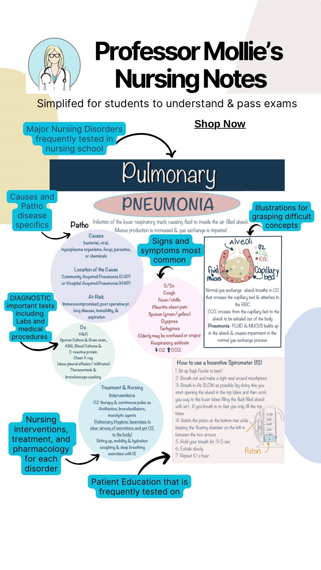 Nursing Notes & Study Guide (spiral-bound)