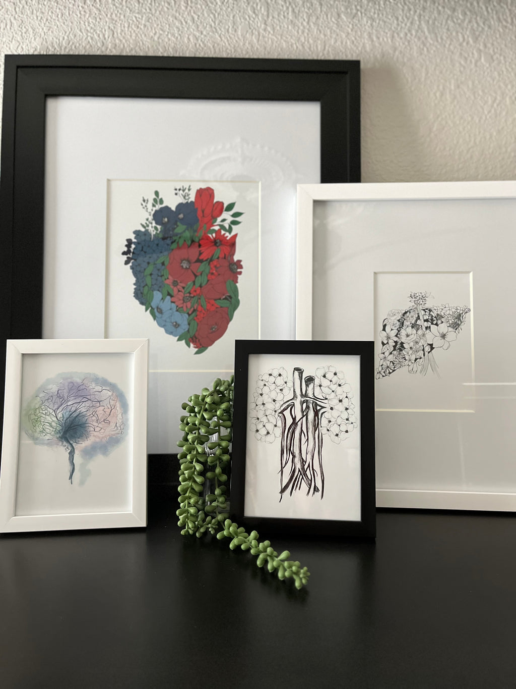 Anatomy Art Collection (Printable & Digital)