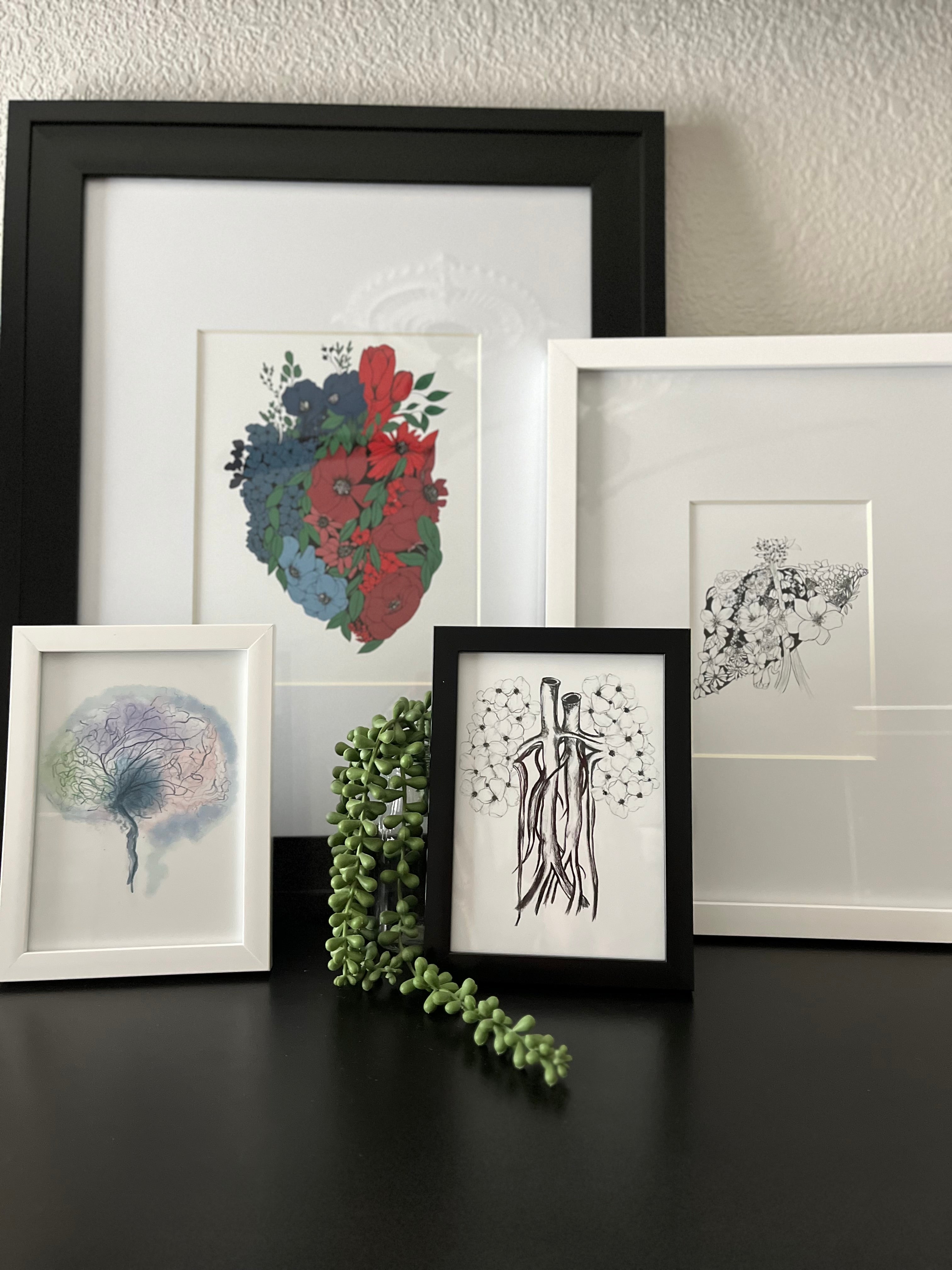 Anatomy Art Collection (Printable & Digital)