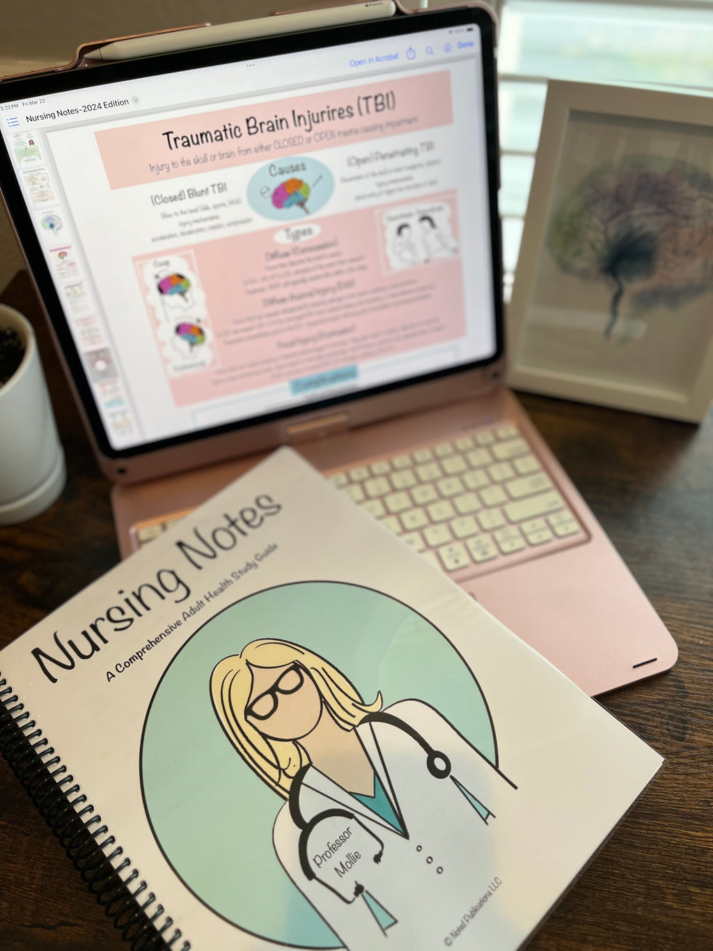 Nursing Notes Folder Nursing School Notebook (Digital) – Professor Mollie