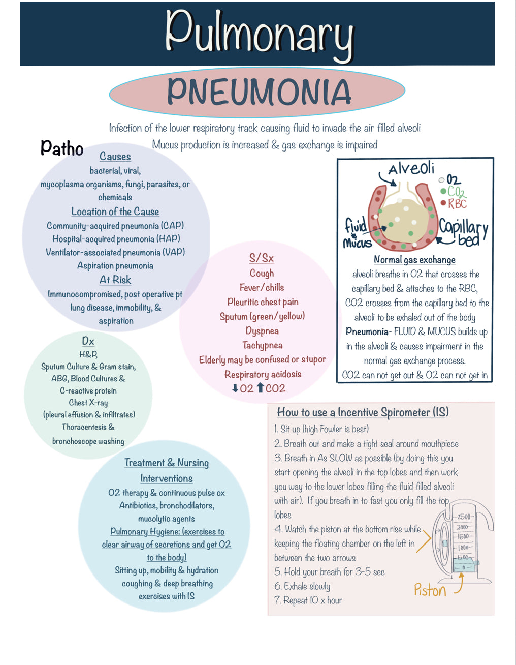 Nursing School Notebook (Spiral)
