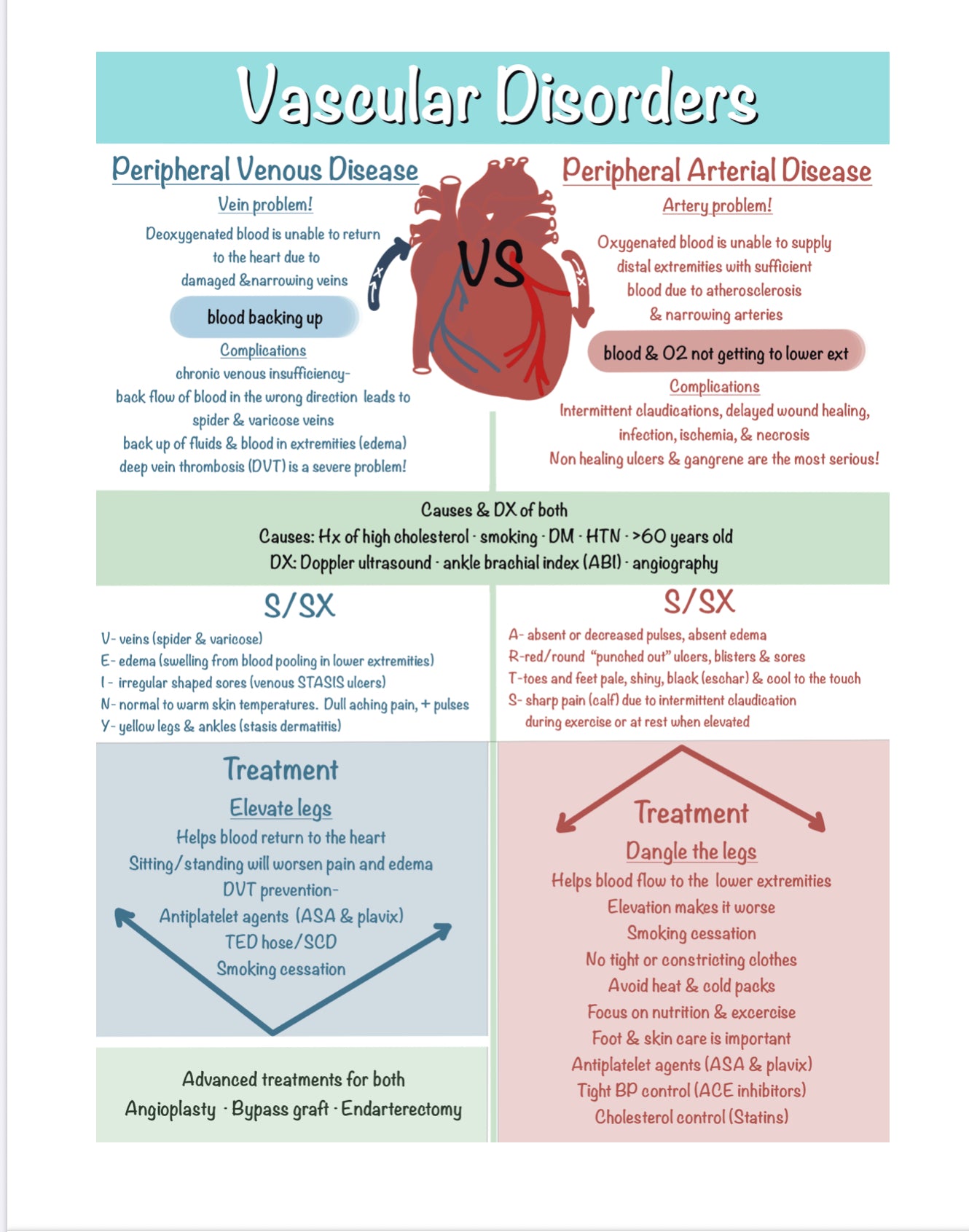 Nursing School Notebook (Spiral)