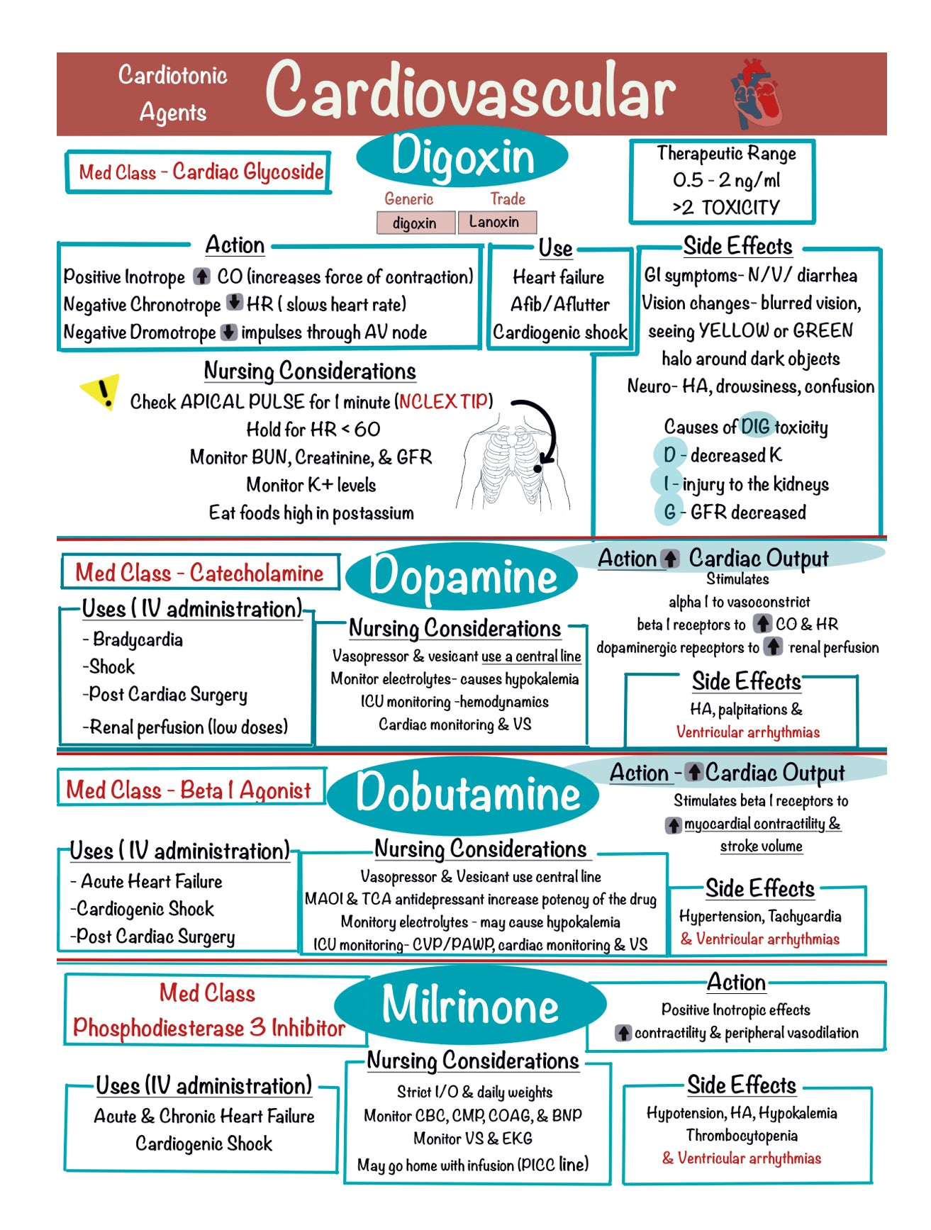 Ultimate Nursing Study Bundle