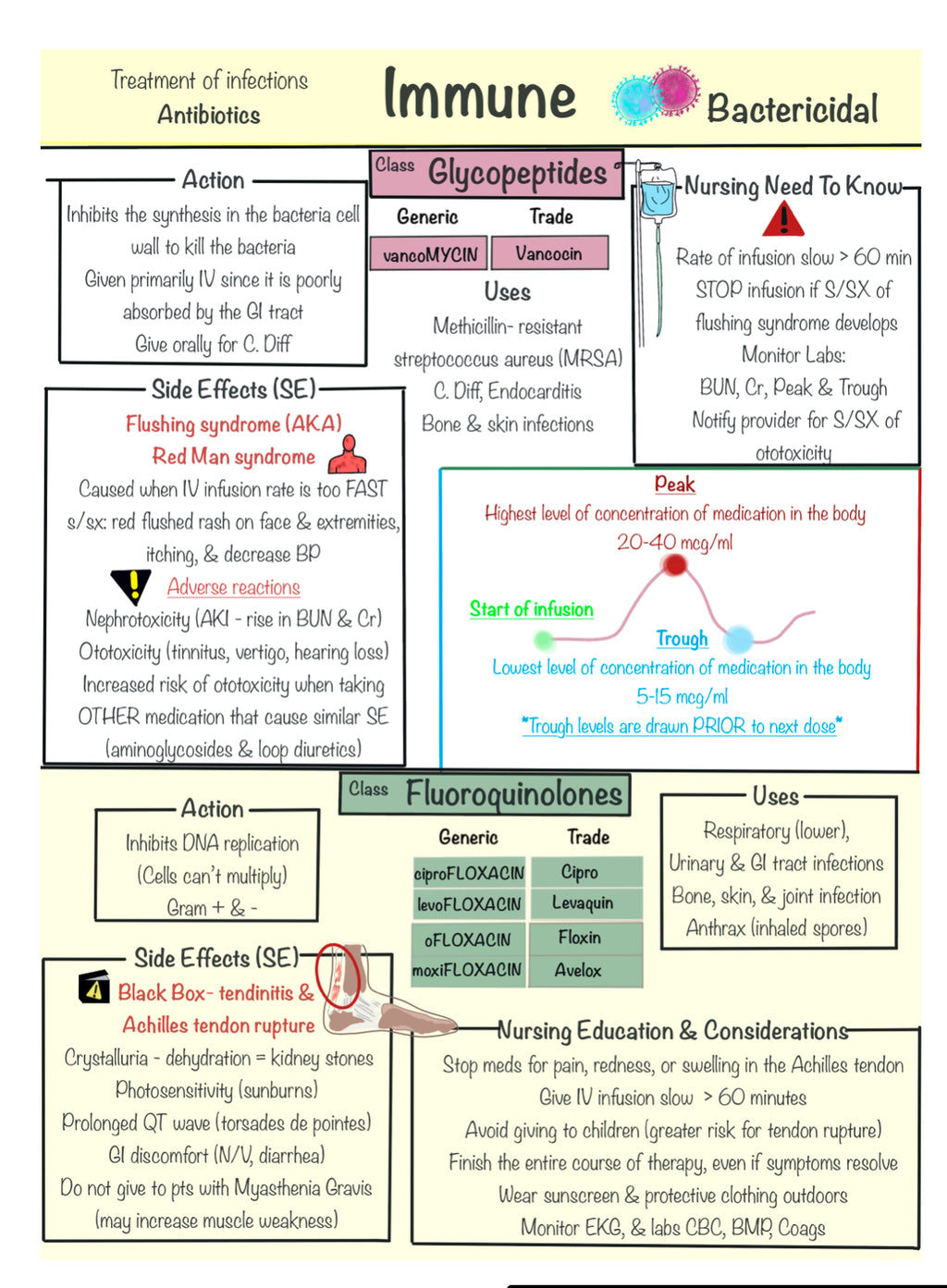 Pharmacology Success Notebook