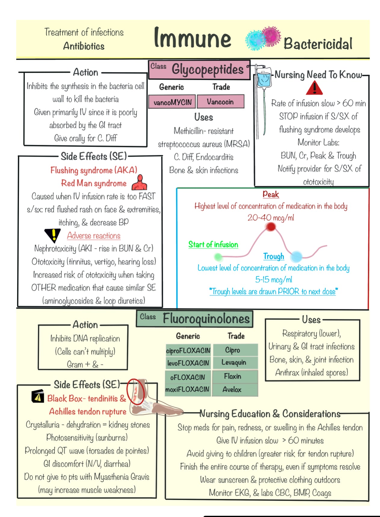 Pharmacology Success Notebook