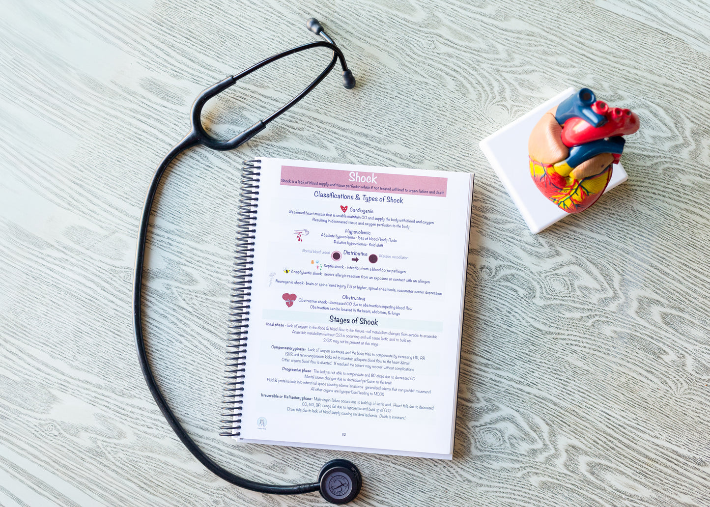 Nursing Notes & Study Guide (spiral-bound)