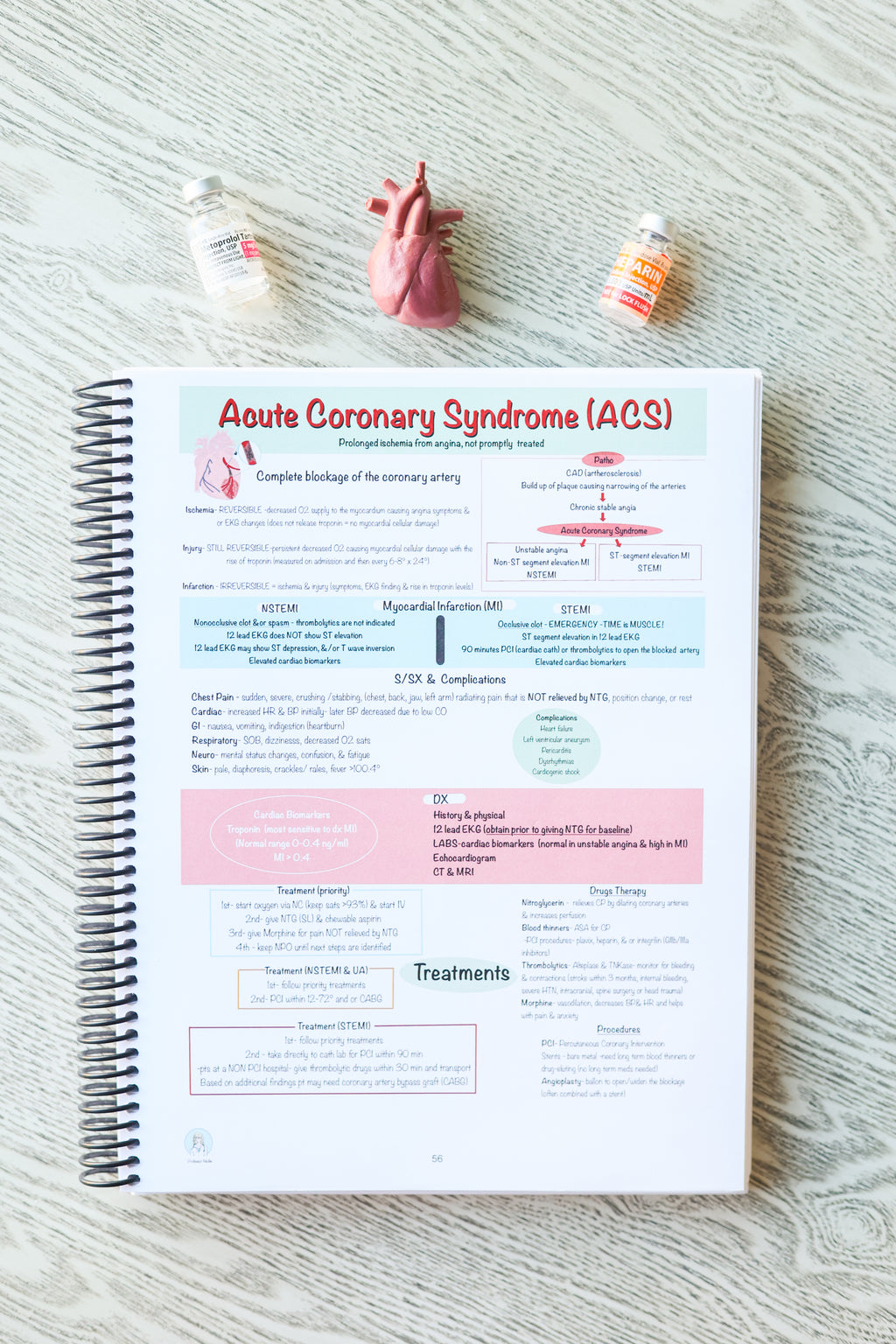 Nursing School Notebook (Spiral)