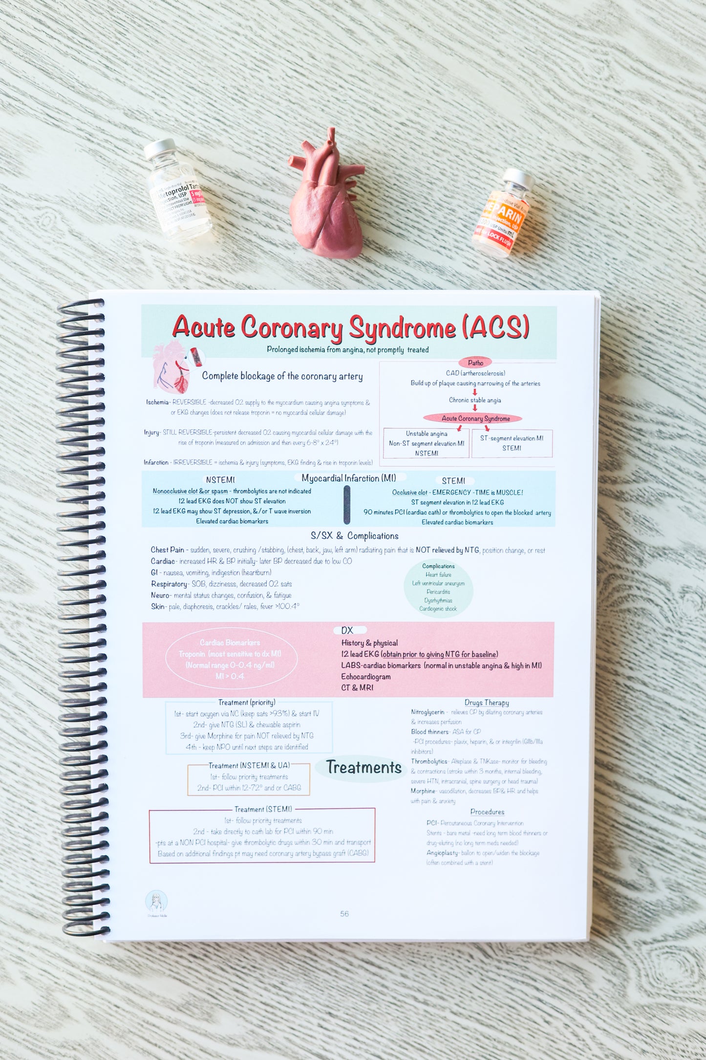 Nursing Notes & Study Guide (spiral-bound)