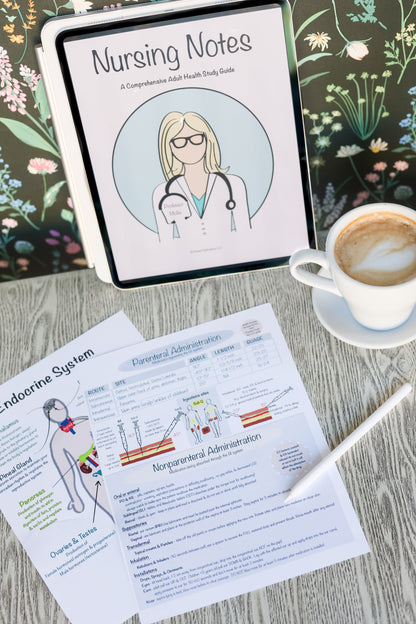 Complete Nursing Student Study Bundle - I Want It All