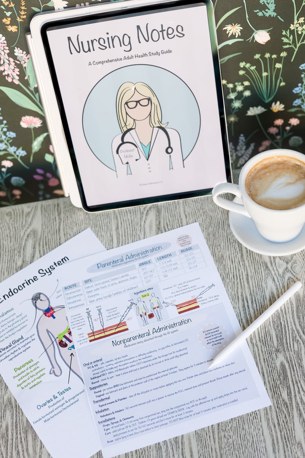 Nursing Notes Folder Nursing School Notebook (Digital) – Professor Mollie