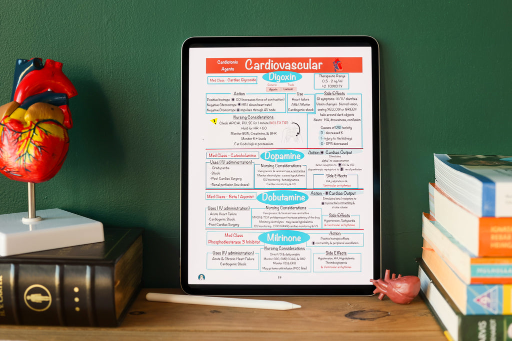 Nursing School Notebook (Digital)