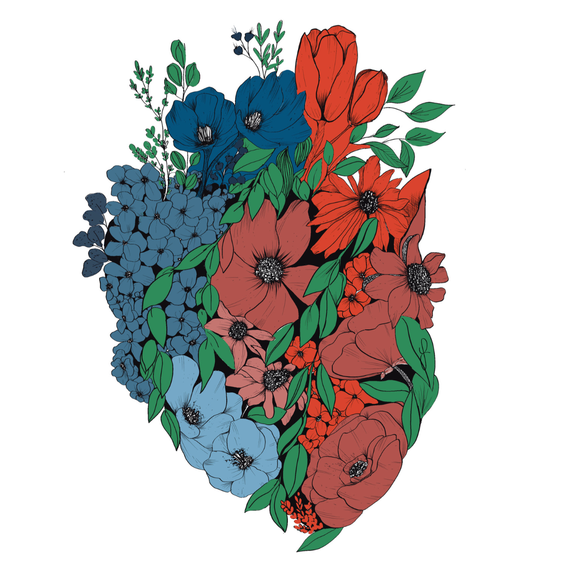 Anatomy Art Collection (Printable & Digital)