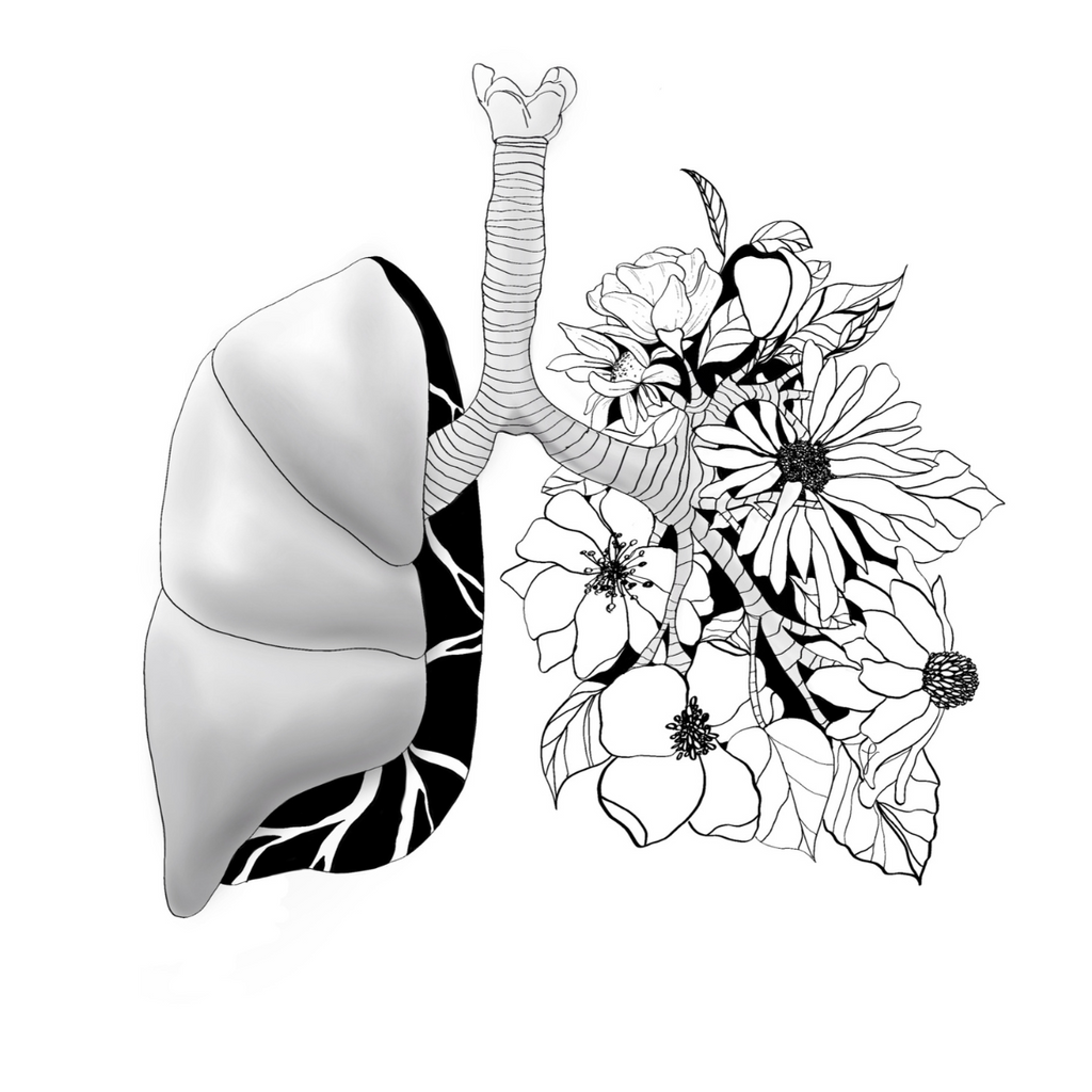 Anatomy Art Collection (Printable & Digital)