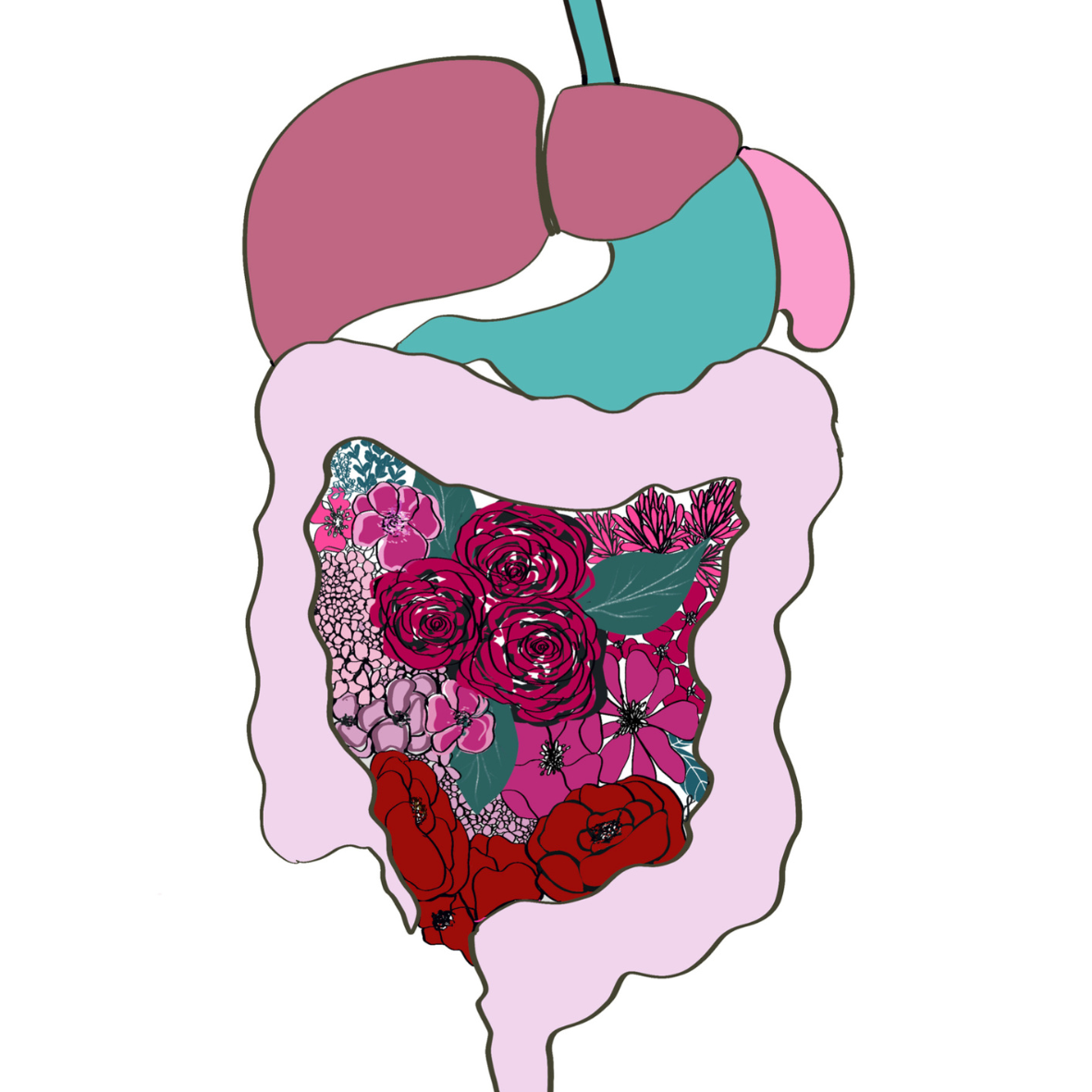 Anatomy Art Collection (Printable & Digital)