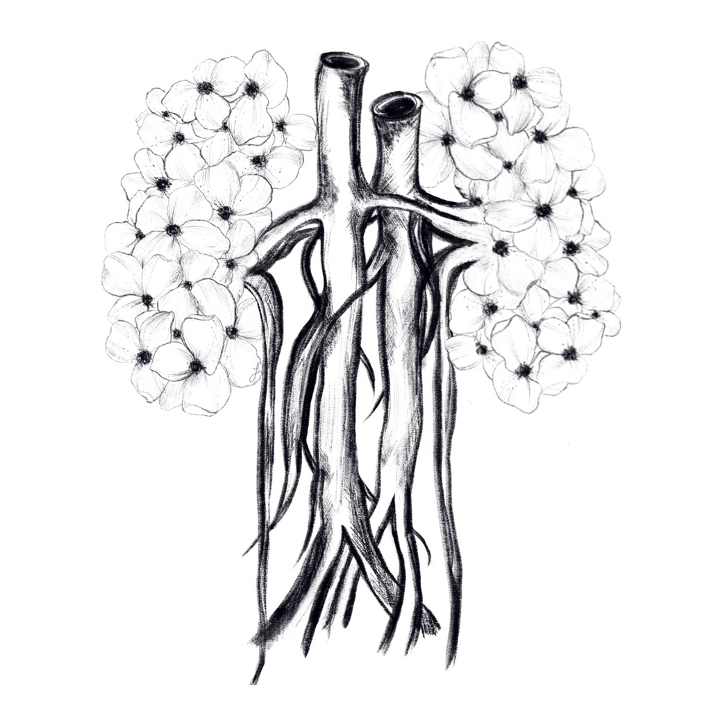 Anatomy Art Collection (Printable & Digital)